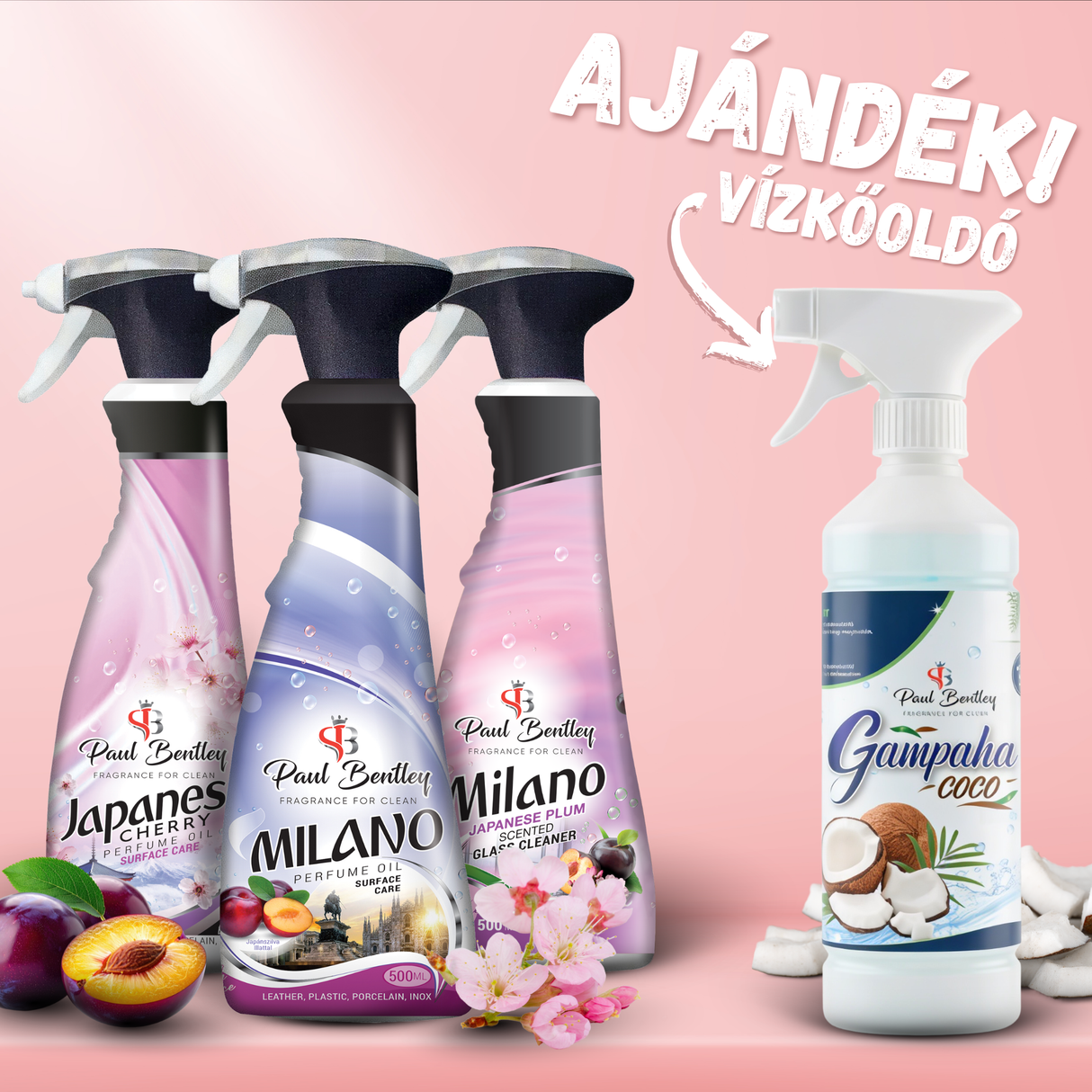 TOP 3 Paul Bentley + ajándék ÚJ kókuszos vízkőoldó