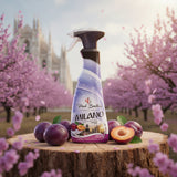 Paul Bentley Milano - Japán szilva illatú bőr és felületápoló Parfümolaj 500 ml